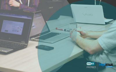 Hibridinės darbo vietos ir jų apsauga